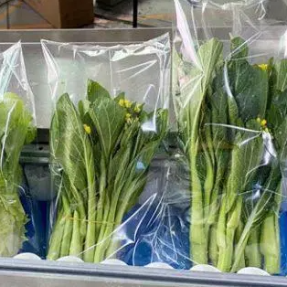 全自動蔬菜包裝機包裝過程是怎么樣的？